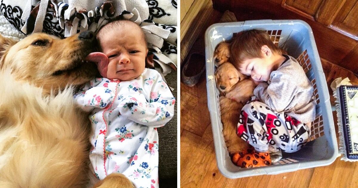 23 Adorable Photos Proving That Children Can’t Live Without Pets 23 Adorable Photos Proving That Children Can’t Live Without Pets