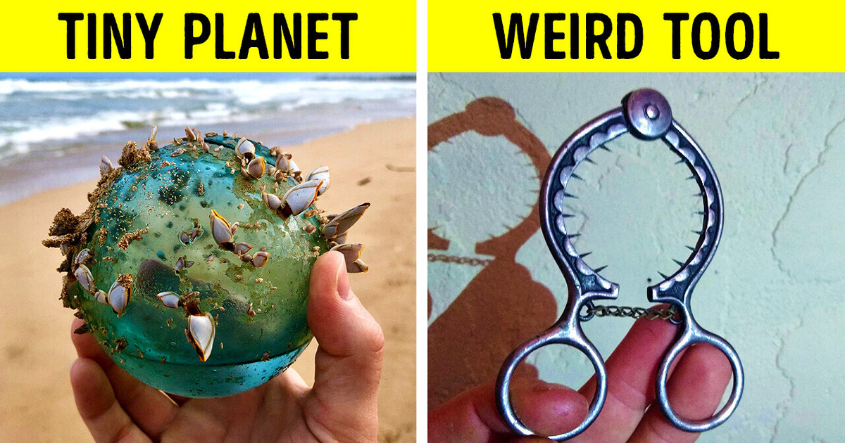 These People Just Couldn’t Resist Sharing Their Insane Finds These People Just Couldn’t Resist Sharing Their Insane Finds