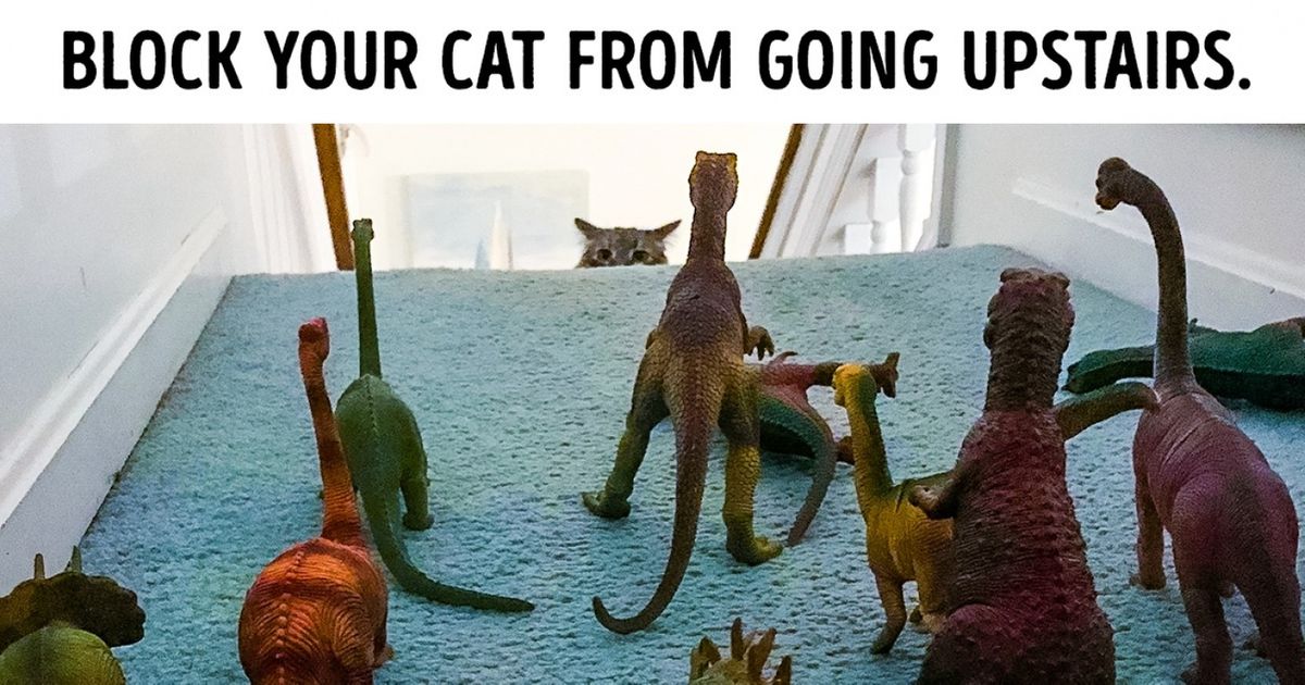 28 Photos That Will Put a Smile on Your Face Even If You’re Having a Bad Day