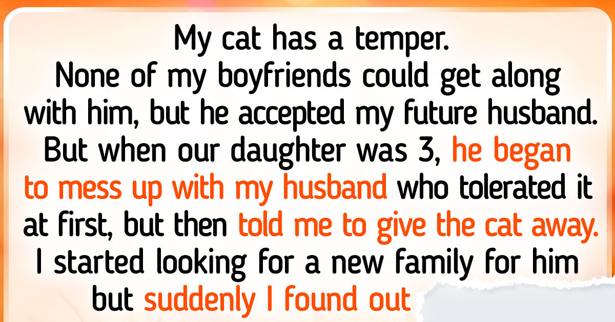 17 Warm Stories About Pets Who Come to Rescue Any Time 17 Warm Stories About Pets Who Come to Rescue Any Time