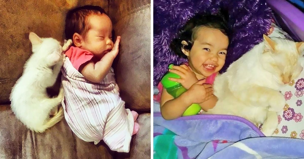 15 Animals That Need a Little Bit Love