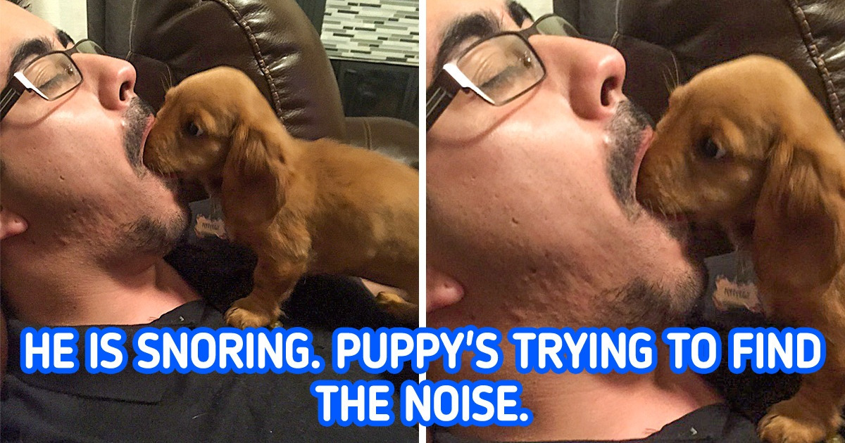 15+ Pics That Are as Soothing as Good News in Your Feed