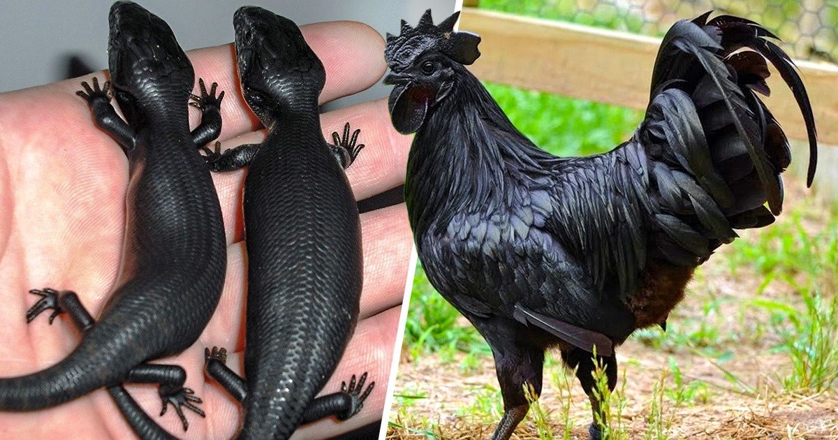 17 Photos That Prove The World Is Still Filled With Amazing Things
