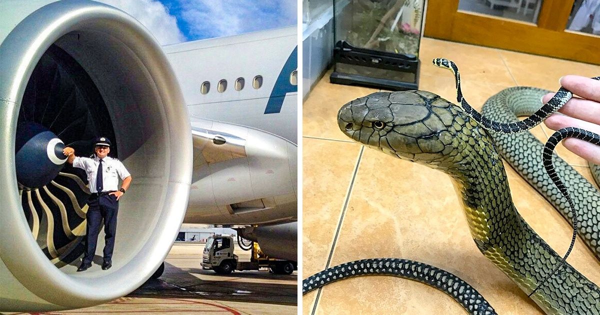 13 Exciting Photos That Can Leave You Open-Mouthed