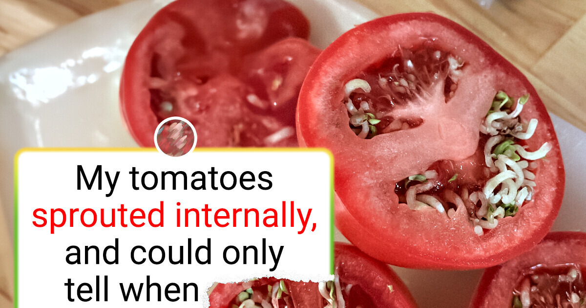 15 People Spilled the Tea on the Most Jaw-Dropping Finds of the Week