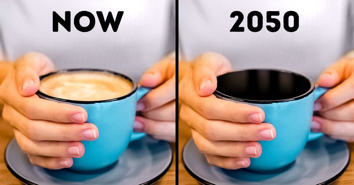 7 Foods We Can Never Eat Again Because of Climate Change 7 Foods We Can Never Eat Again Because of Climate Change