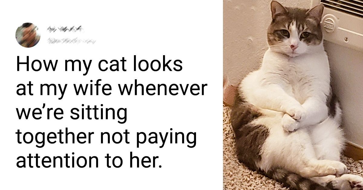 16 Reddit Users Who Always Have a Cool Pic to Post Thanks to Their Precious Pets 16 Reddit Users Who Always Have a Cool Pic to Post Thanks to Their Precious Pets