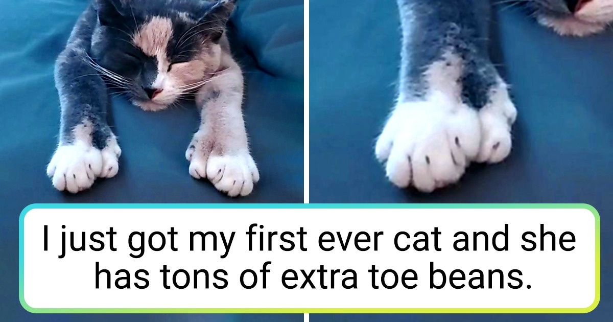 20 Times Mother Nature Blessed Things With a Little Extra Charm