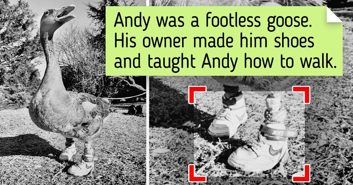 17 People Who Have Nothing but Pure Love for This World