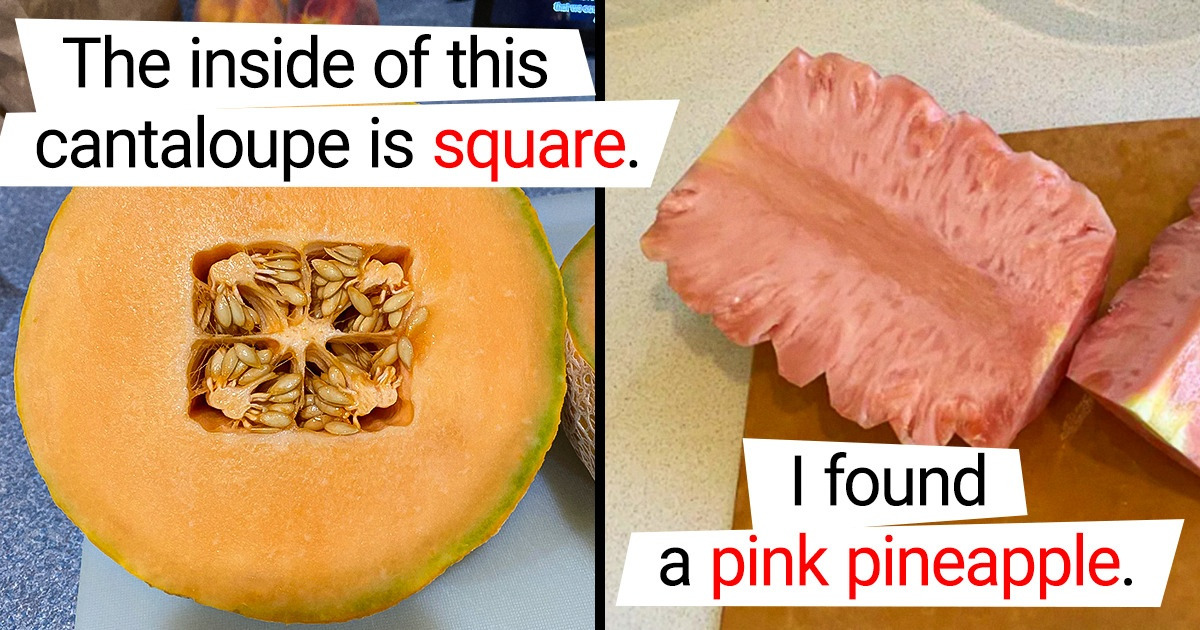 22 Pics That Are Sure to Make You Stop and Wonder 22 Pics That Are Sure to Make You Stop and Wonder