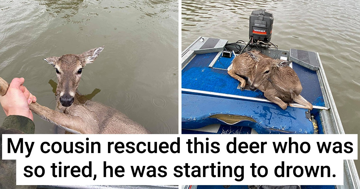 19 People With Hearts the Size of the Universe