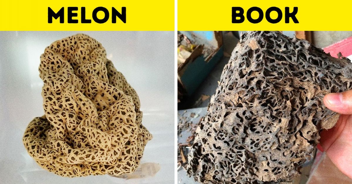 16 Photos That Will Answer the Question “What If?” in a Simple and Understandable Way 16 Photos That Will Answer the Question “What If?” in a Simple and Understandable Way