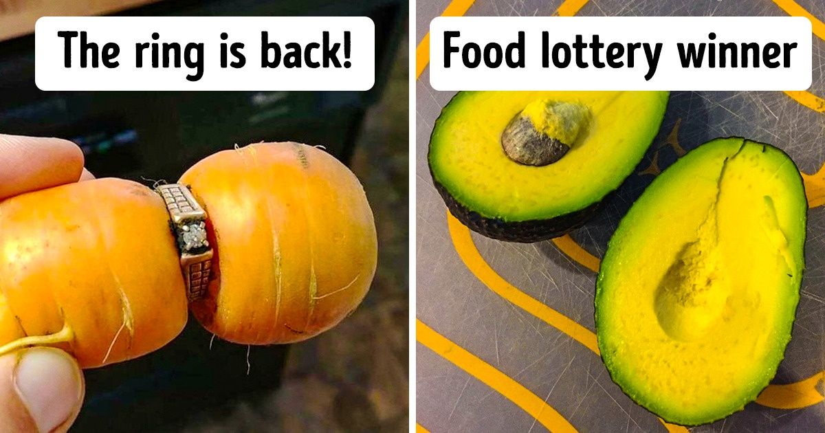 14 People Who Suddenly Attracted Good Luck, and It Was Unforgettable 14 People Who Suddenly Attracted Good Luck, and It Was Unforgettable