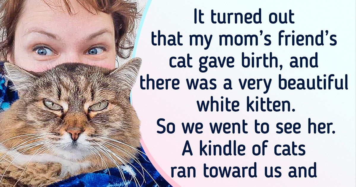 20+ Pets Who Suddenly Decided, “You’re a Good Person and I’m Staying With You”