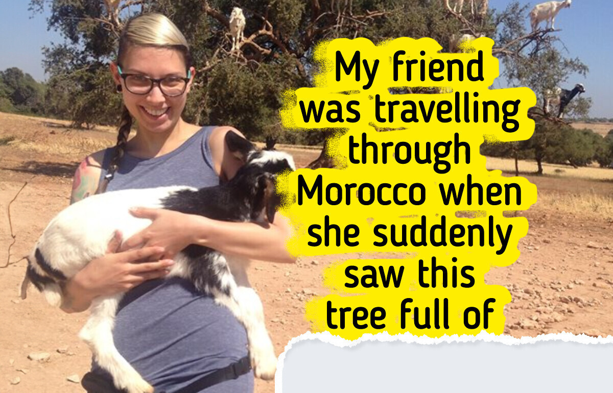 21 Travelers Who Uncovered Hidden Surprises on Their Journeys