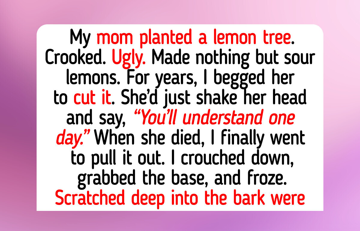 11 Moments That Teach Us Pure Compassion Heals What Selfishness Breaks
