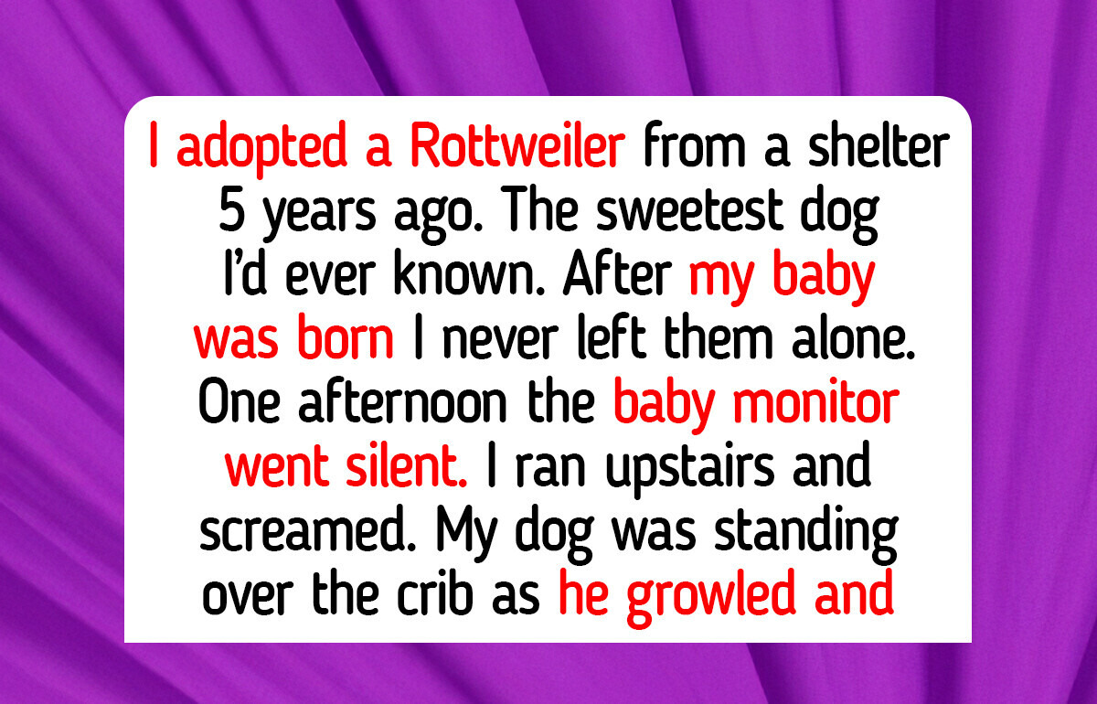 12 Moments That Teach Us How Pets Heal Our Hearts Without a Word 12 Moments That Teach Us How Pets Heal Our Hearts Without a Word