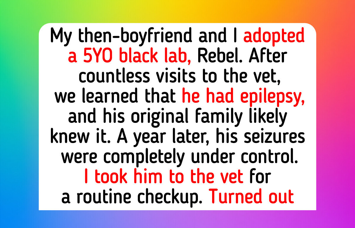 12 Rescue Dogs and Shelter Cats Who Ended the Loneliness of a Widowed Night Janitor, a Grandmother, and More 12 Rescue Dogs and Shelter Cats Who Ended the Loneliness of a Widowed Night Janitor, a Grandmother, and More