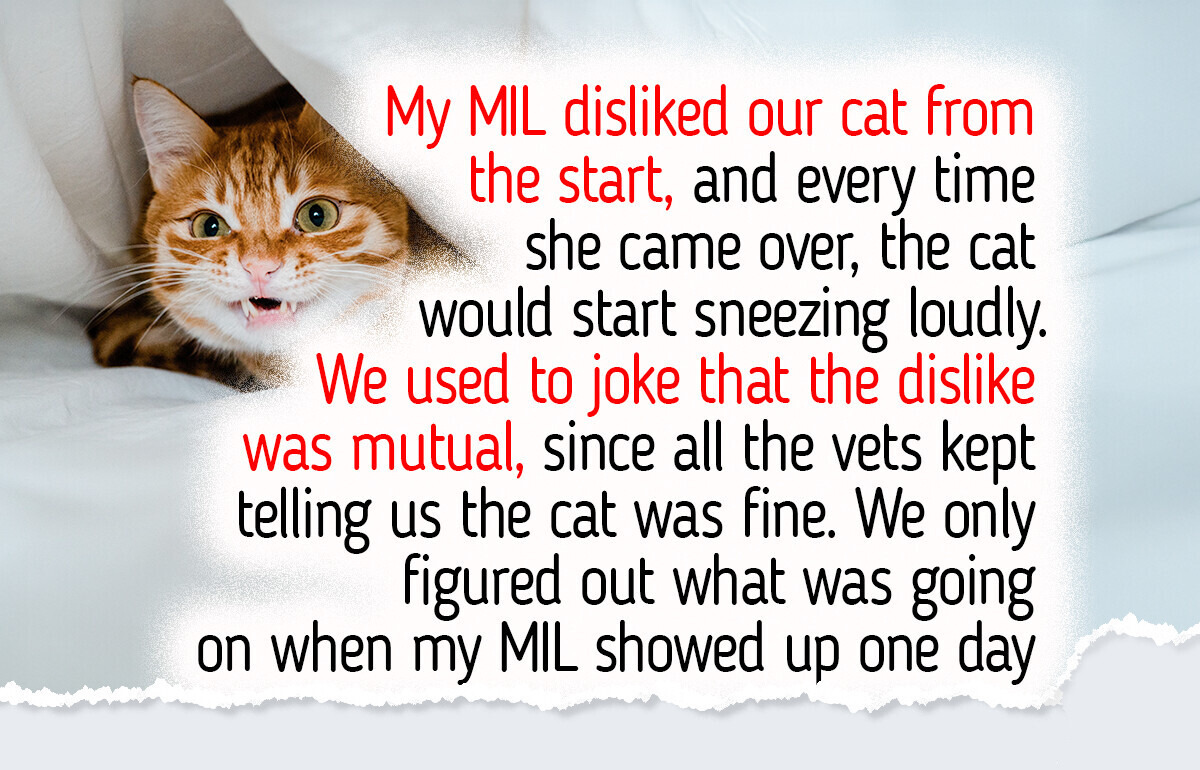9 Cat Facts That Might Change How You See Them — Even If You’ve Had One for Years