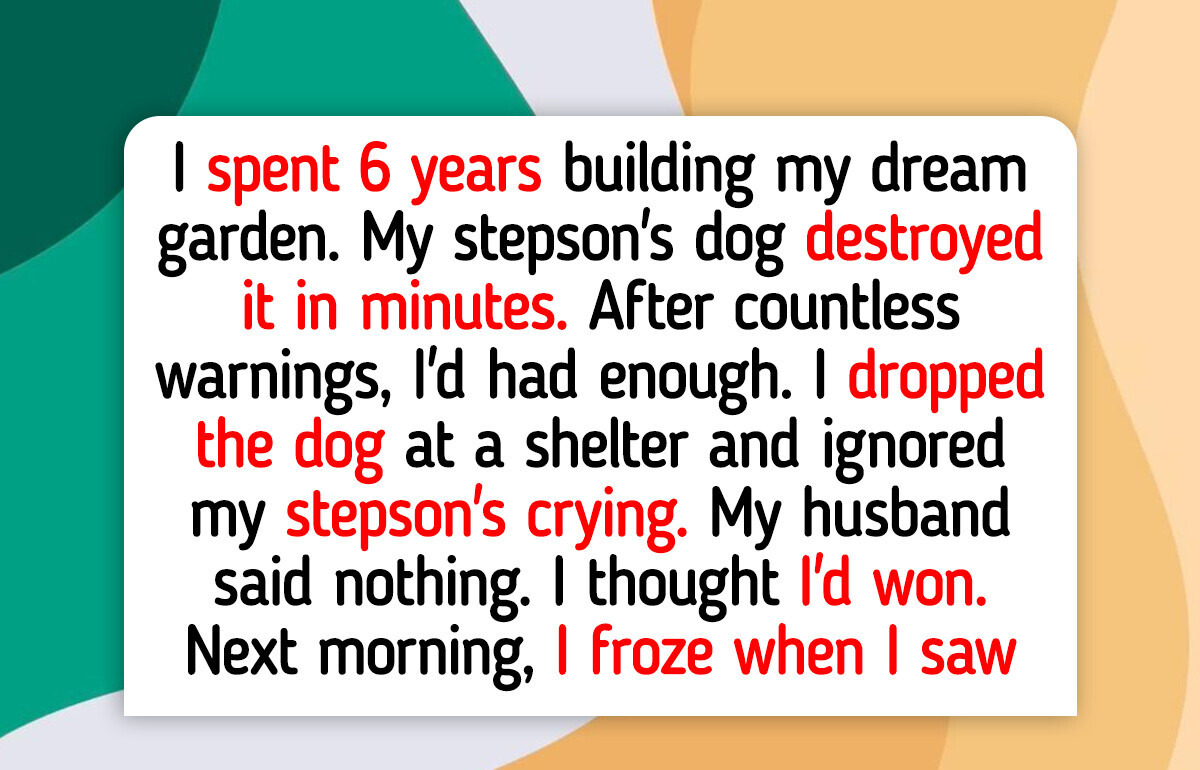 12 Moments That Teach Us Kindness Still Wins in the End 12 Moments That Teach Us Kindness Still Wins in the End
