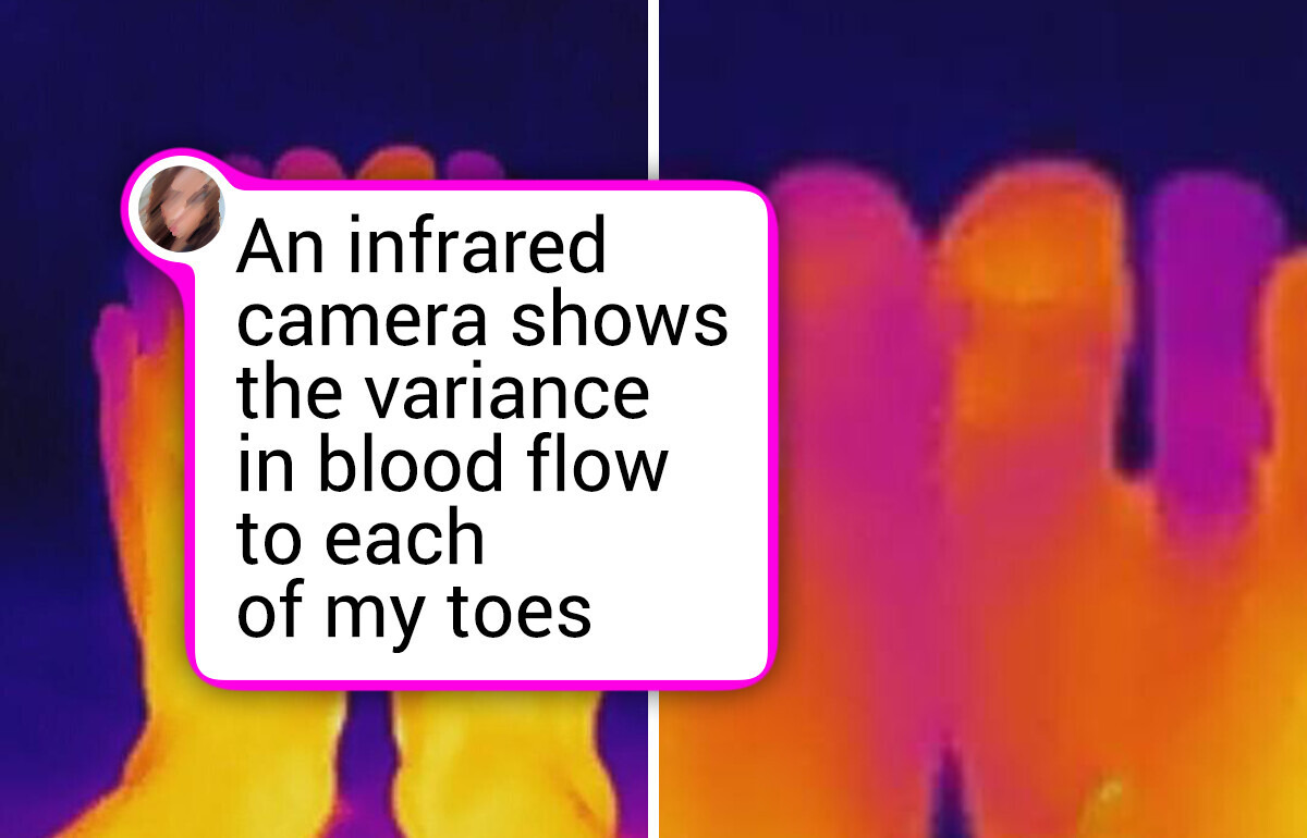 20 Photos That Reveal the Hidden Side of Everyday Things