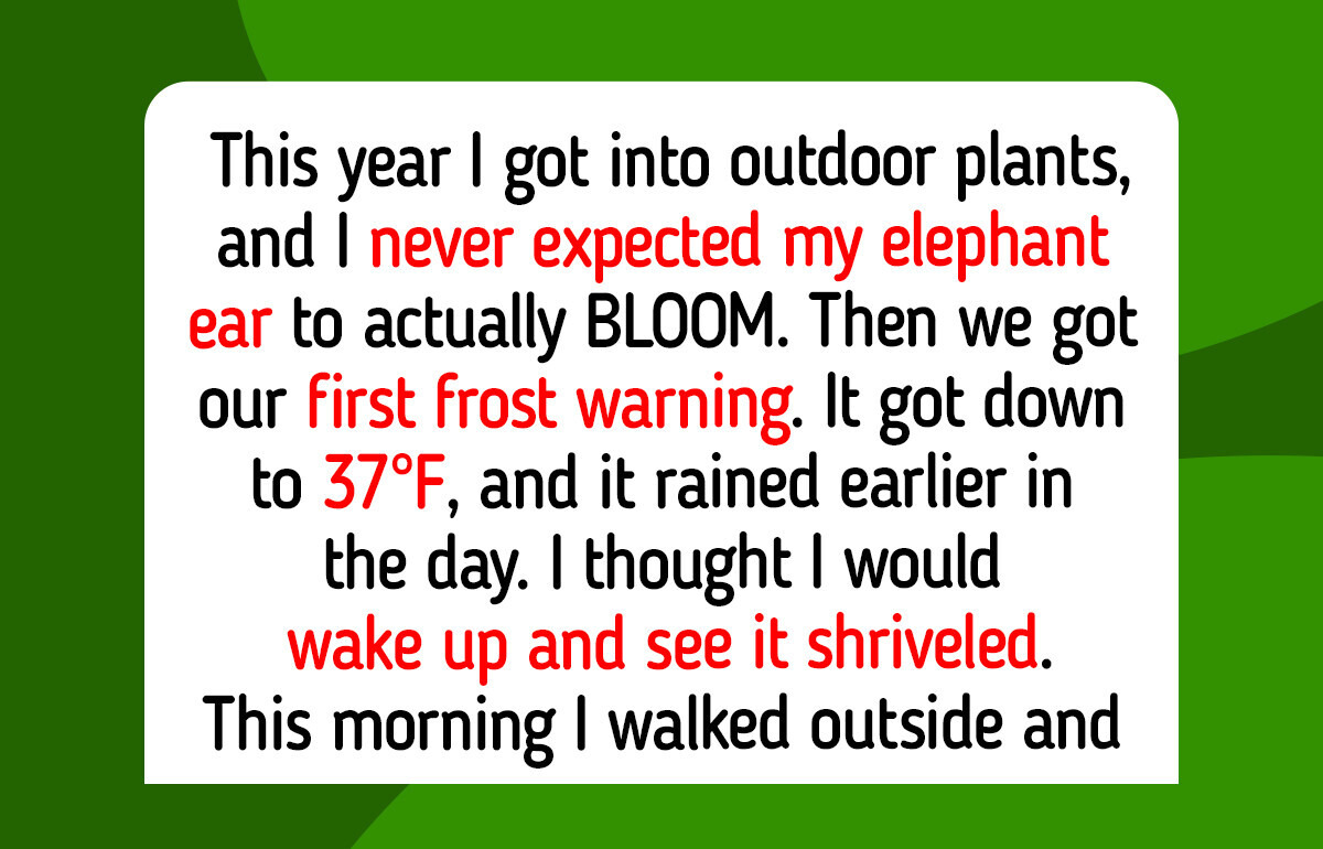 12 Gardeners Who Raced the First Frost, From 72 Luffas to a Turtle Who Ate the Last Tomato
