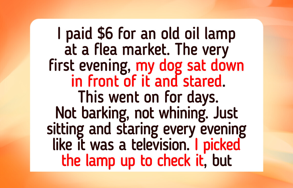 17 Heartwarming Vintage Finds That Proved Old Junk Hides Family Treasures