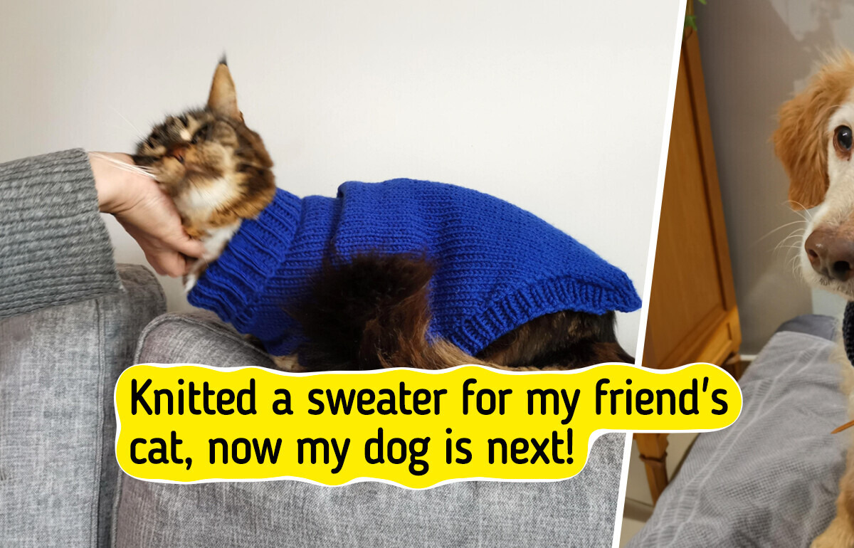 12 Crochet Creations for Pets That Turn Yarn into Love, Handicraft into Happiness, and a Hobby into Care