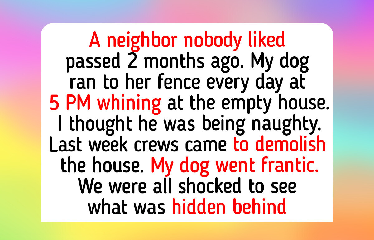 10 Pets Who Stayed Close Through Breakups, Fevers and Cold Nights
