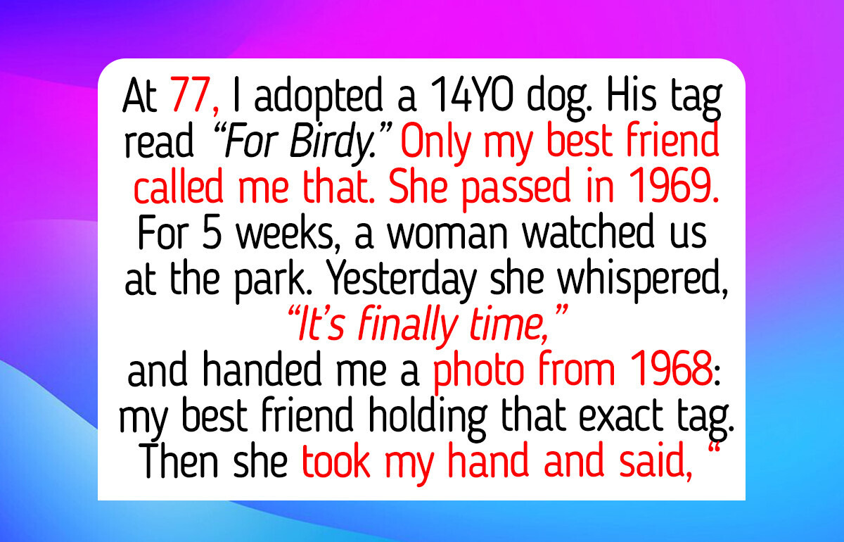 At 77, I Adopted a Senior Dog to Ease My Retirement Loneliness — Then a Stranger’s Kindness Led Me to My Best Friend From 1969
