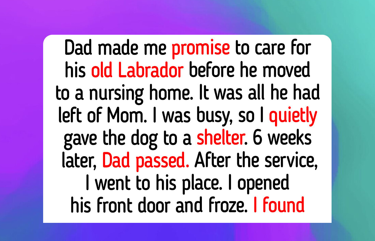 12 Animal Shelter Moments That Teach Us Kindness Still Brings Happiness to Heavy Hearts