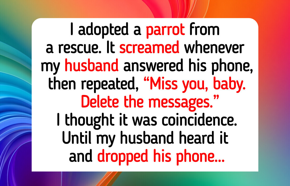 16 Animal Shelter Stories That Remind Us Every Life Still Carries Kindness, Compassion, and Love