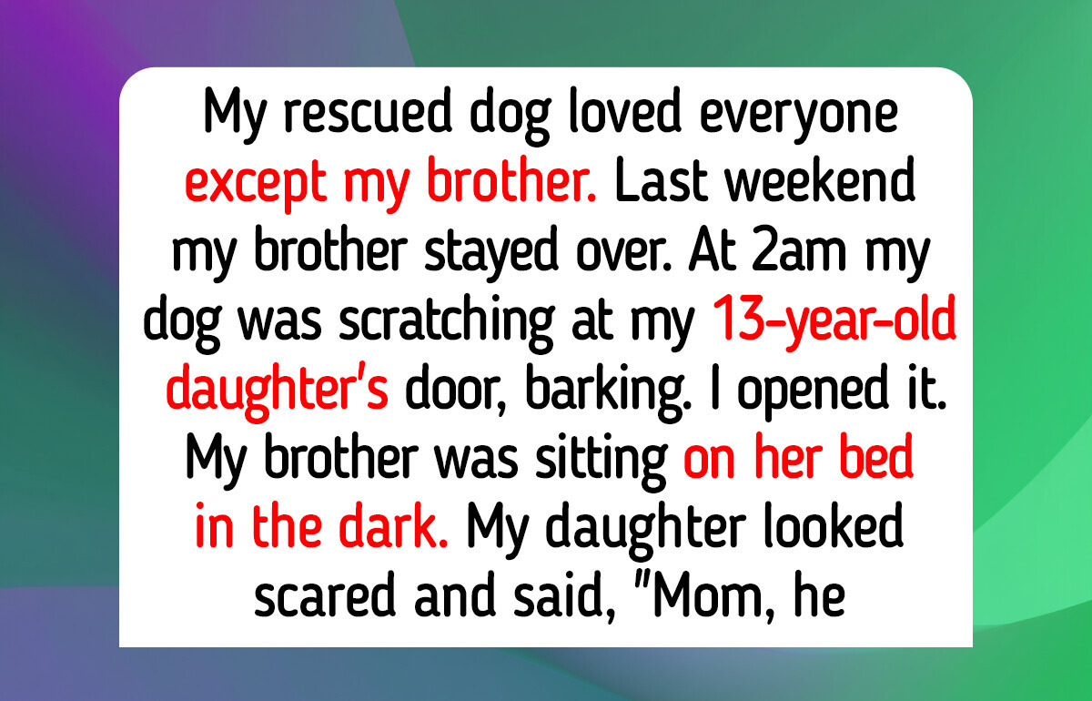 12 Rescue Dogs and Cute Cats From Animal Shelters Who Got Their Forever Happy Homes Just in Time for Fall 2026