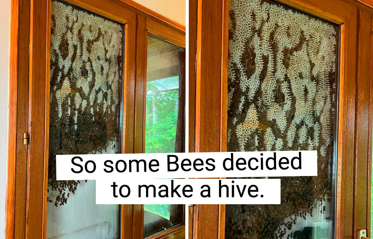 17+ People Who Caught Nature Doing Something Totally Unexpected