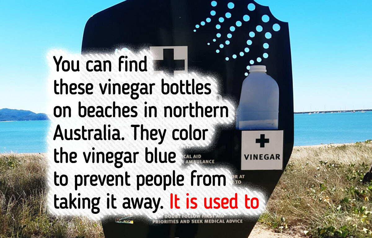15 Stories From Around the World That Can Make You Say: “What a Twist!”