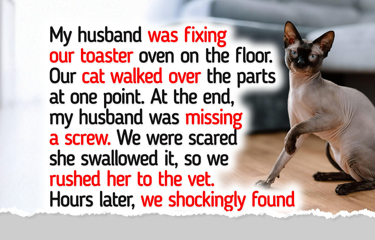 10 Pet Parents Who Panicked Too Soon and Paid Full Price for It 10 Pet Parents Who Panicked Too Soon and Paid Full Price for It