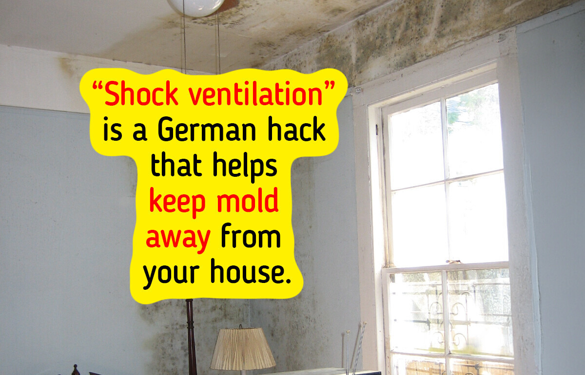 5 Smart Ways to Prepare Your Home for Autumn and Winter and Prevent Damp, Mold, and Mildew