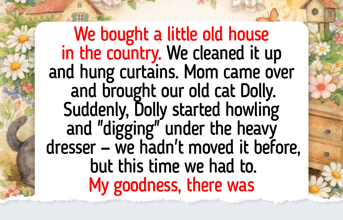 18 Real Pet Stories That Prove Our Animals Quietly Understand Us Better Than We Think