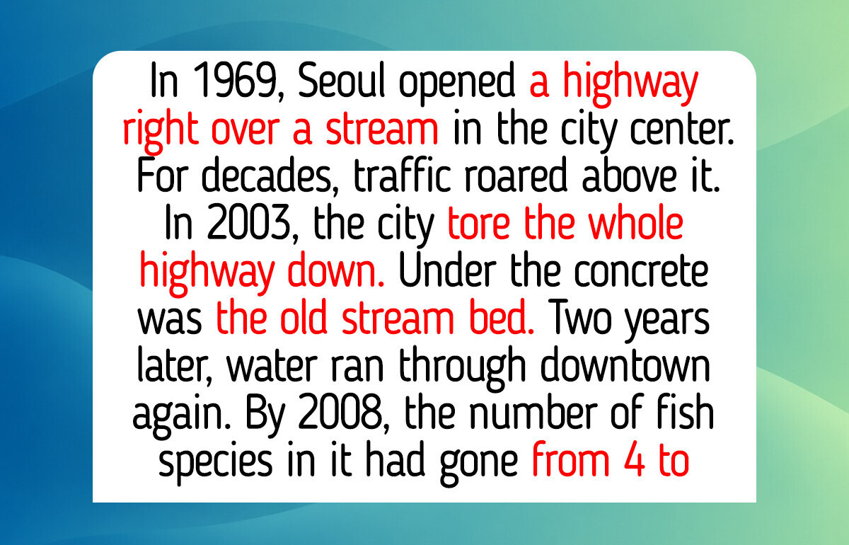 12 Rivers That Came Back to Life, Like the Seine, Where Swimming Was Banned for 100 Years