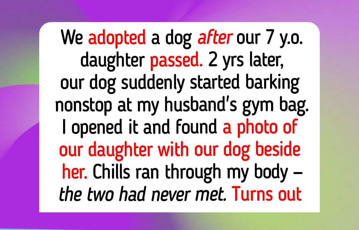 11 Real Animal Moments That Prove Rescue Dogs and Cats Still Guide People to Happiness, Even in 2026