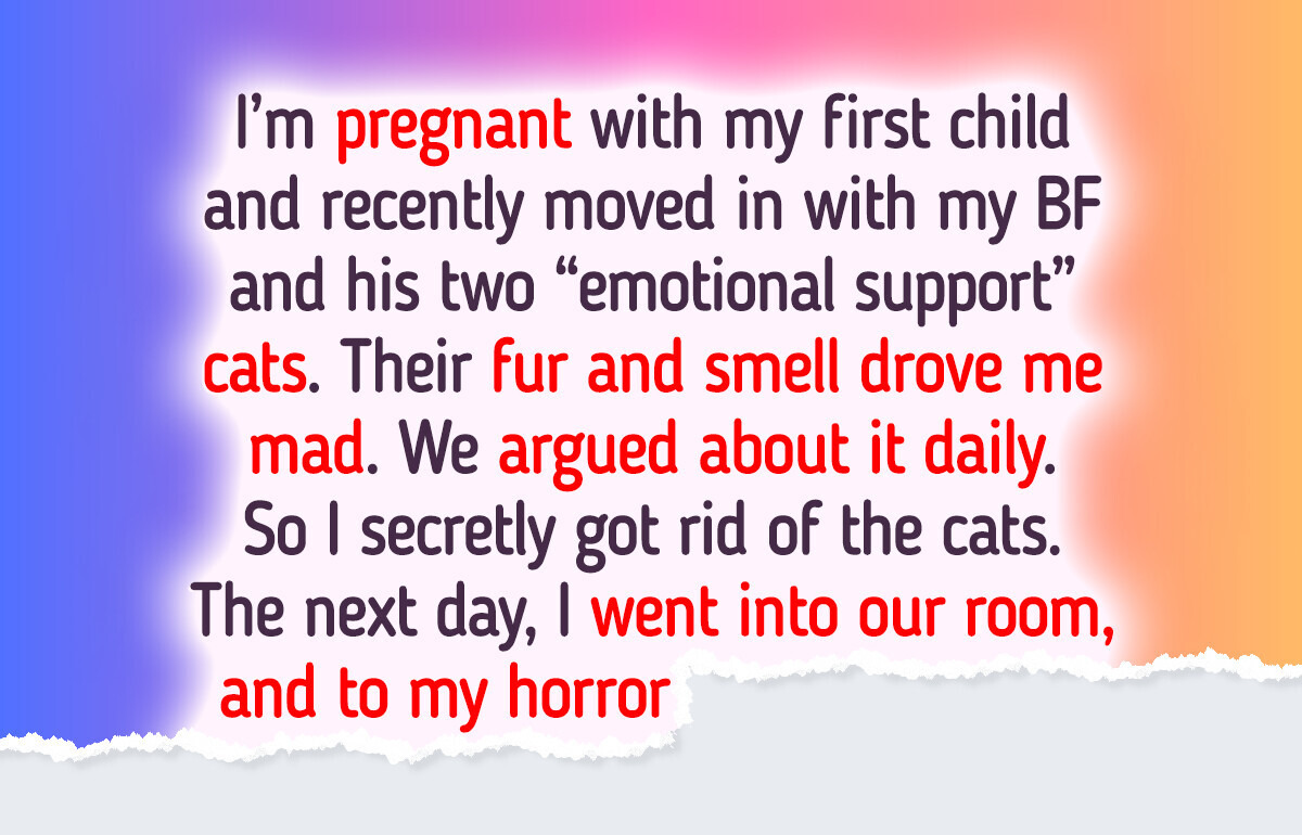 I Secretly Got Rid of My Boyfriend’s Cats—Our Baby Comes First I Secretly Got Rid of My Boyfriend’s Cats—Our Baby Comes First