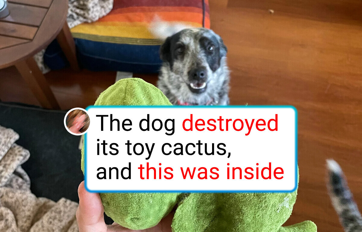 15 Designers Whose Creativity Went Too Far Out of the Box