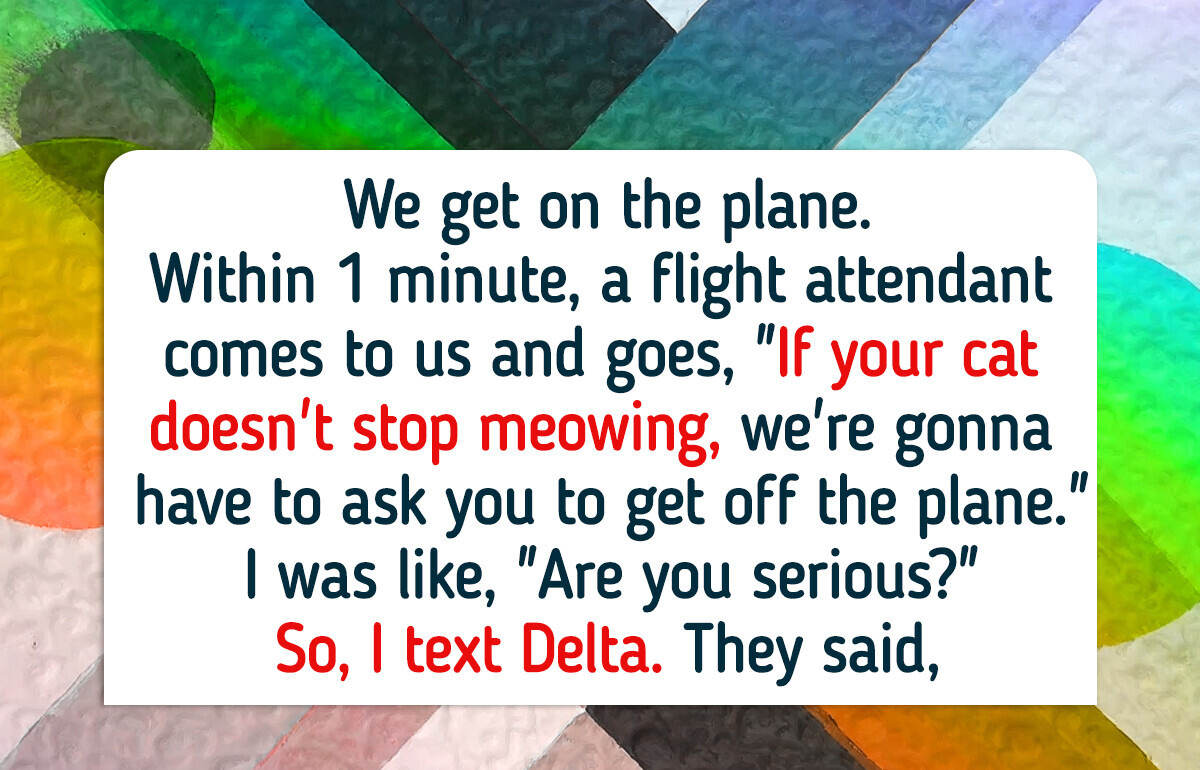 They Threatened to Throw Me Out of the Plane Because My Cat Was Meowing They Threatened to Throw Me Out of the Plane Because My Cat Was Meowing