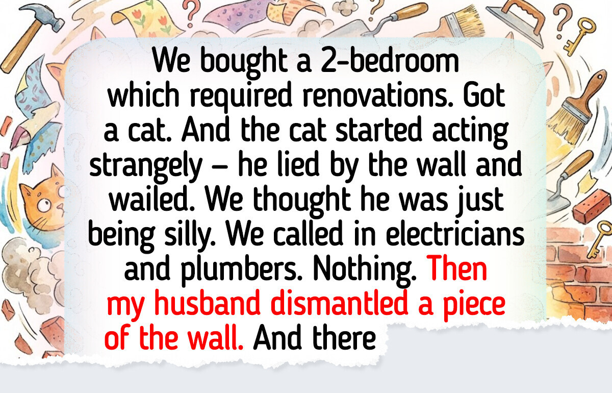 18 Pets Who Proved They Understand the World Much Better Than We Think