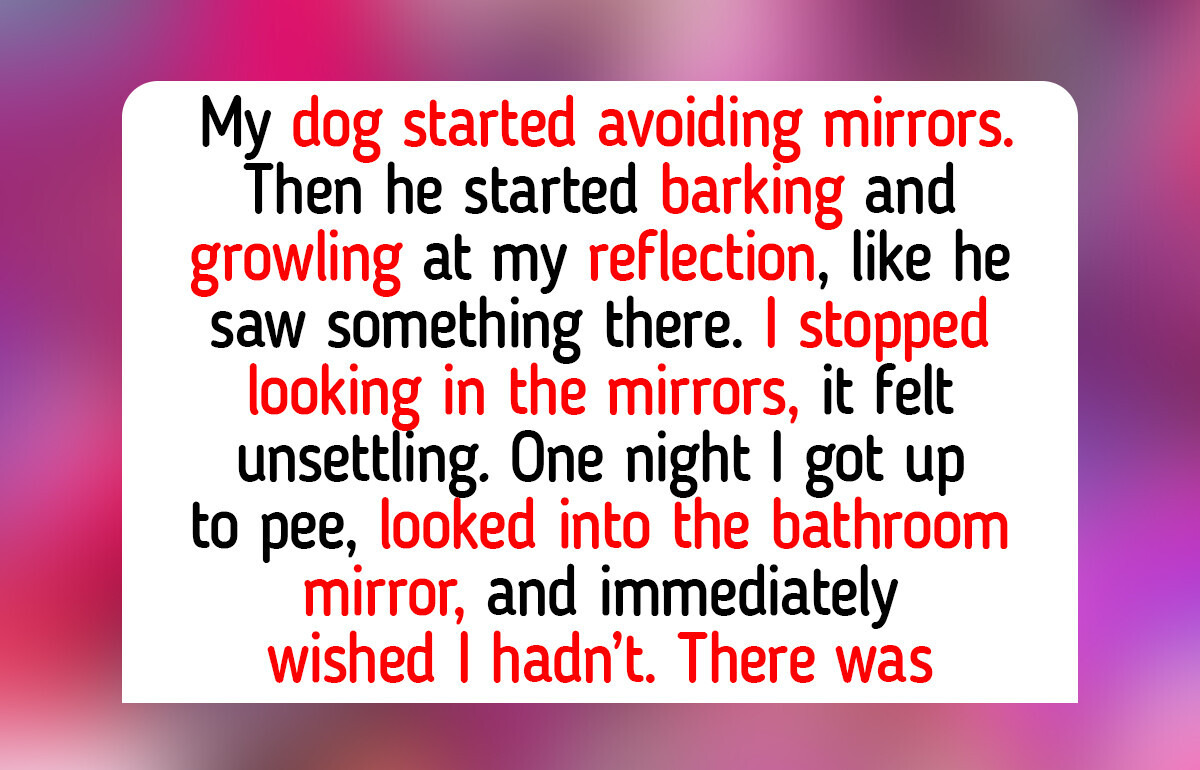 11 Animal Friendship Stories That Prove Love and Compassion Have No Species
