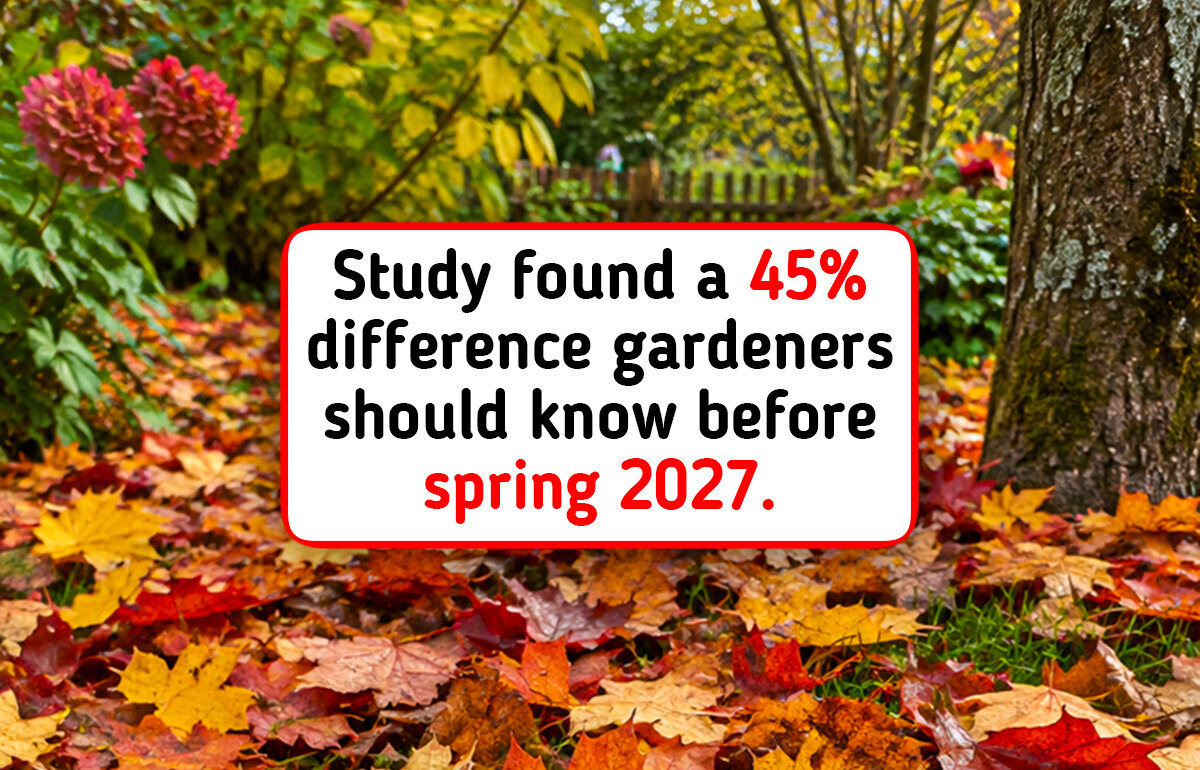 Gardening expert explains why fallen leaves belong in your home wildflower garden this fall season 2026