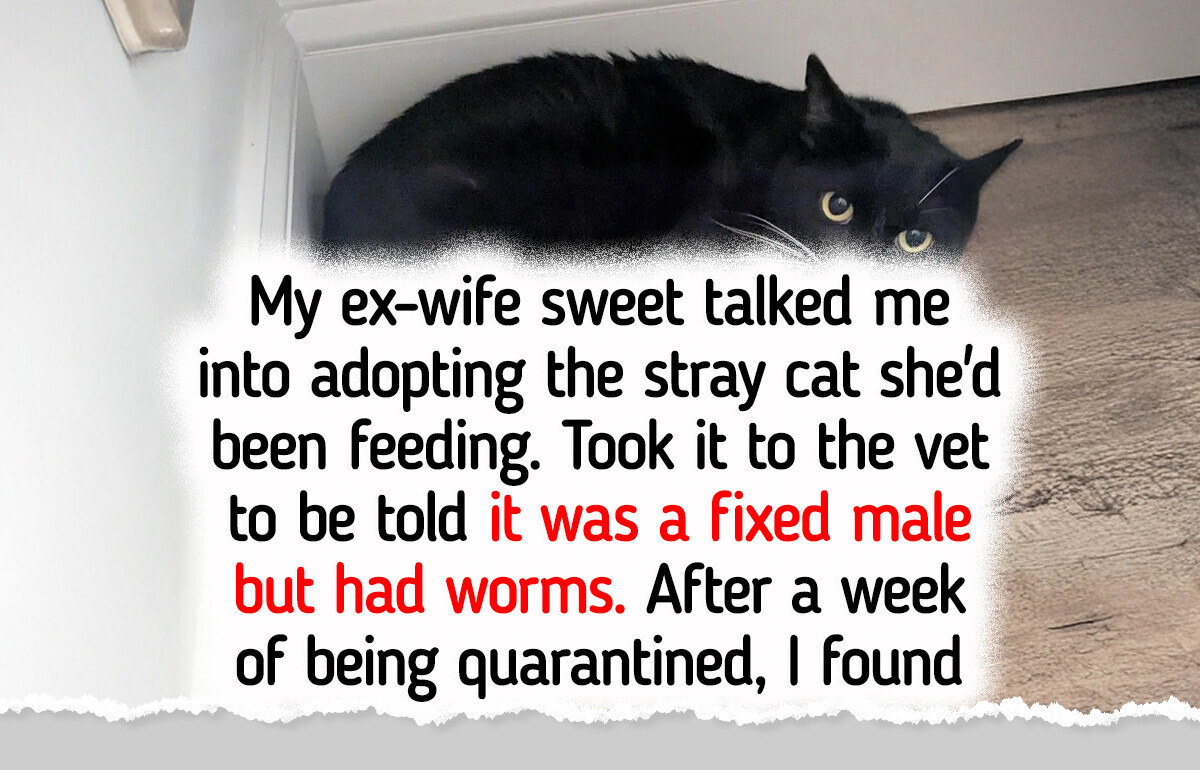 25 Quirky Animals That Make Life Instantly Better Just by Being Themselves