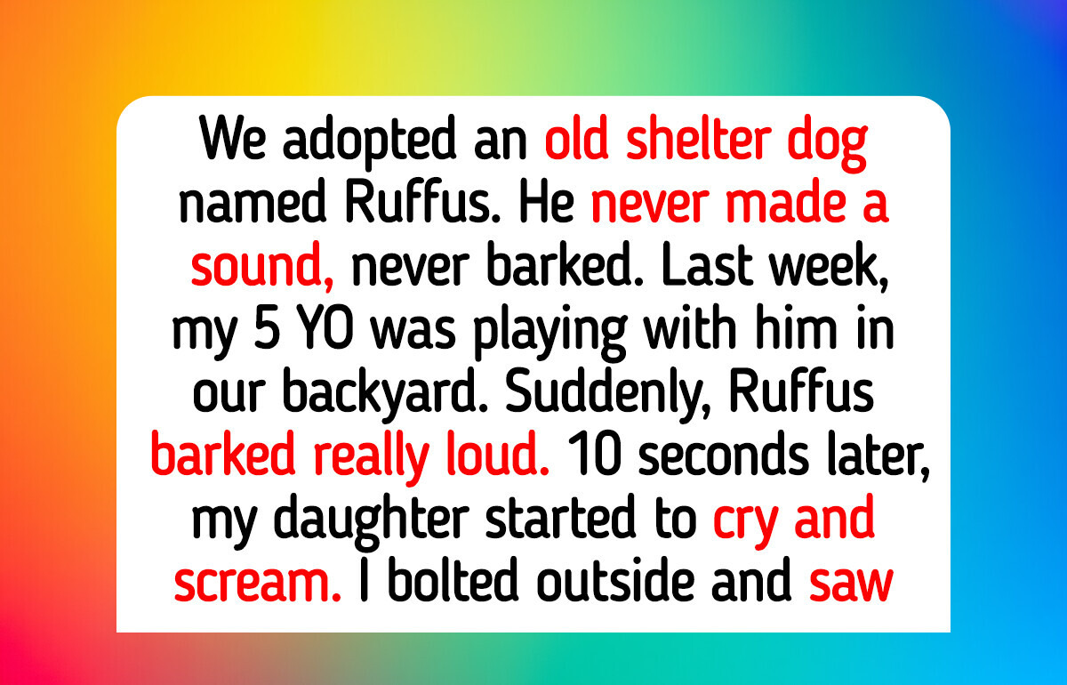 10 Acts of Kindness From Pets Who Somehow Knew Our Hearts Were Heavy
