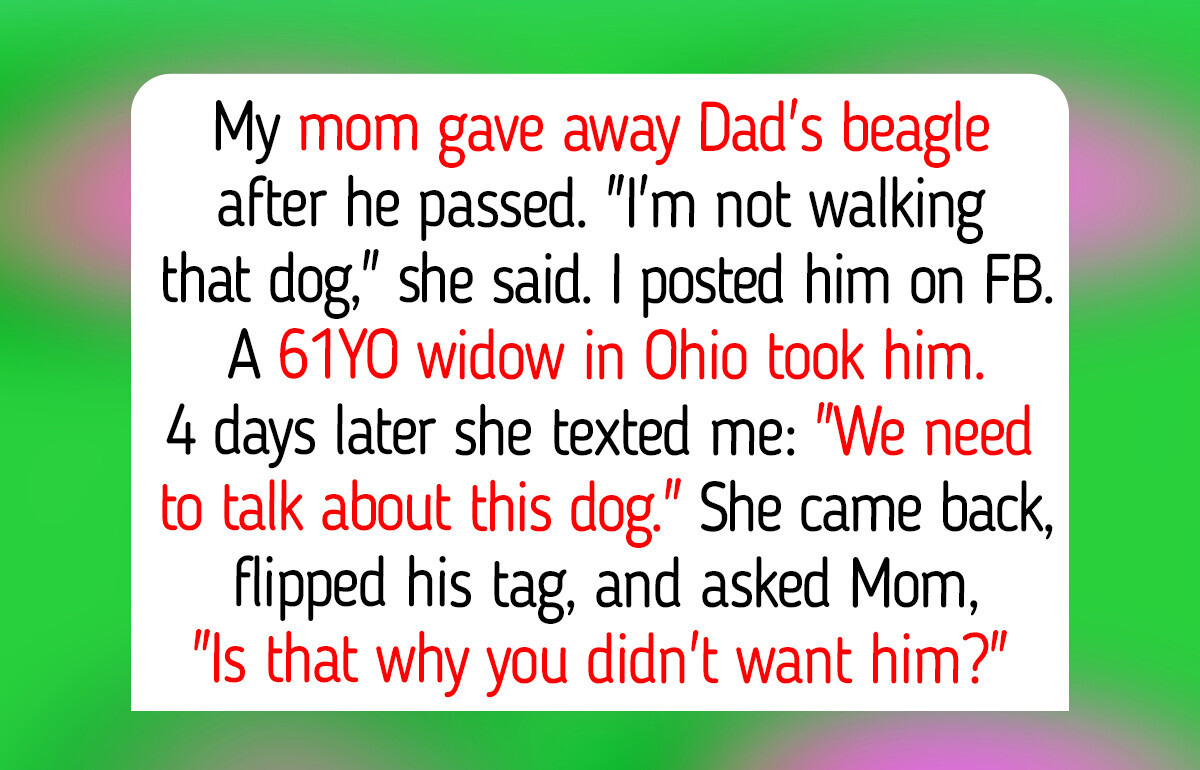 11 Pets Whose Loyalty Still Shows Up in the Smallest Ways, From a Hand-Knitted Sock to a Dog Who Only Knows Sign Language