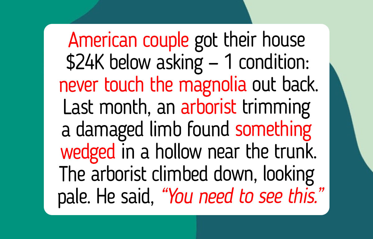 North Carolina Couple Bought a House $24,000 Under Asking on One Condition — Then They Found 41 Hidden Letters That Revealed Everything